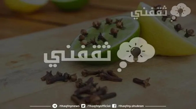 وصفات طبيعية للقضاء على الناموس في المنزل